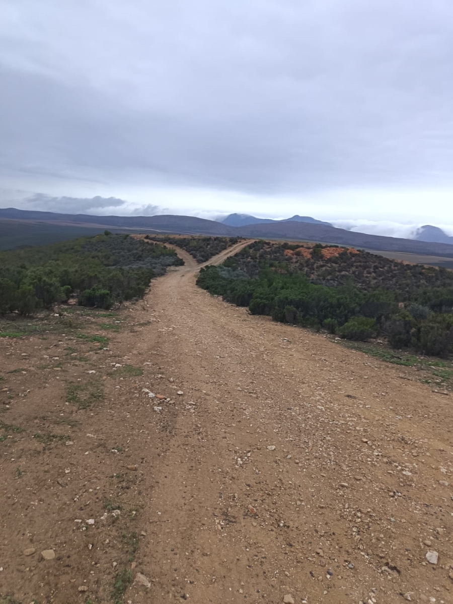 9 Bedroom Property for Sale in Oudtshoorn Rural Western Cape